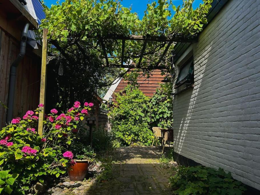 Onder De Kastanje! Villa Koedijk Exterior foto